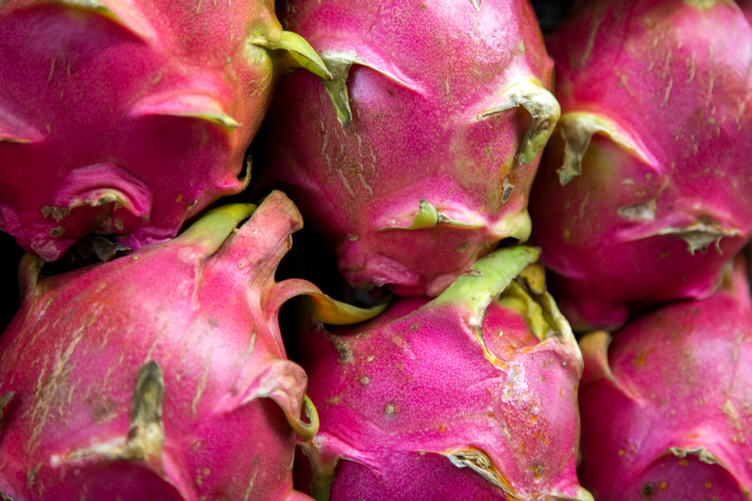 Pitahayas rosadas enteras apiladas